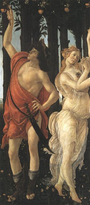 Sandro Botticelli Primavera (mk36) Norge oil painting art